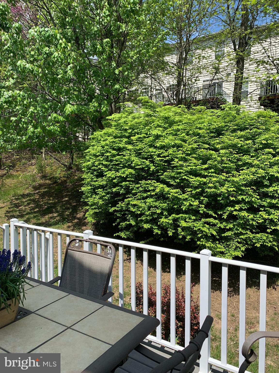 CHARLESTOWN OAKS - Residential