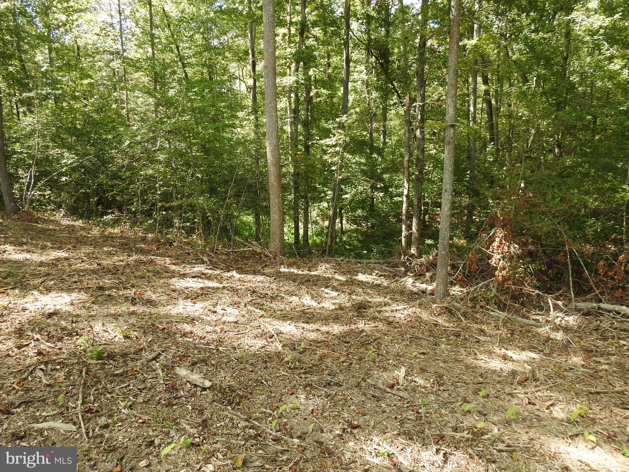 EQUESTRIAN LANDING - Land