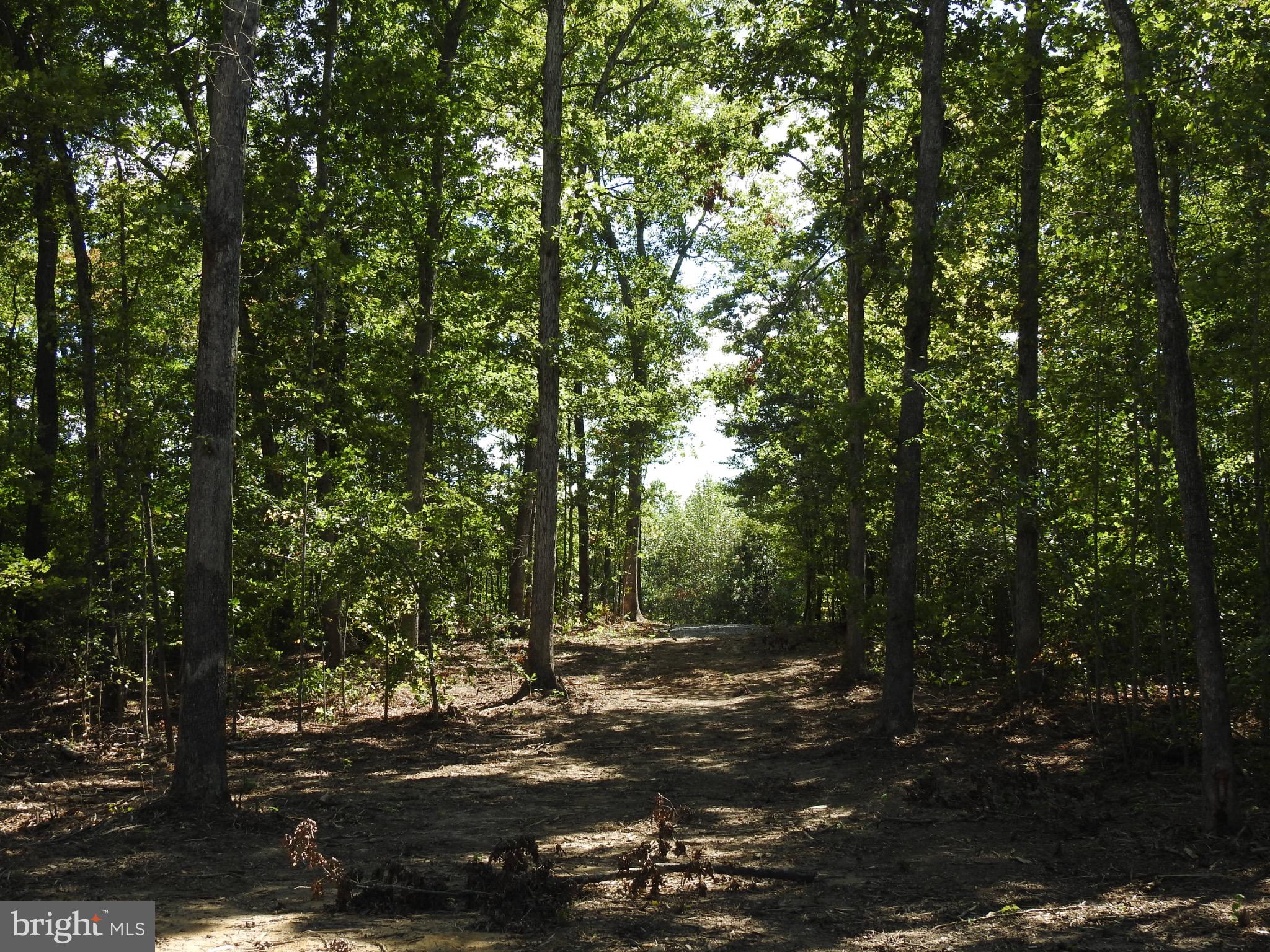 EQUESTRIAN LANDING - Land