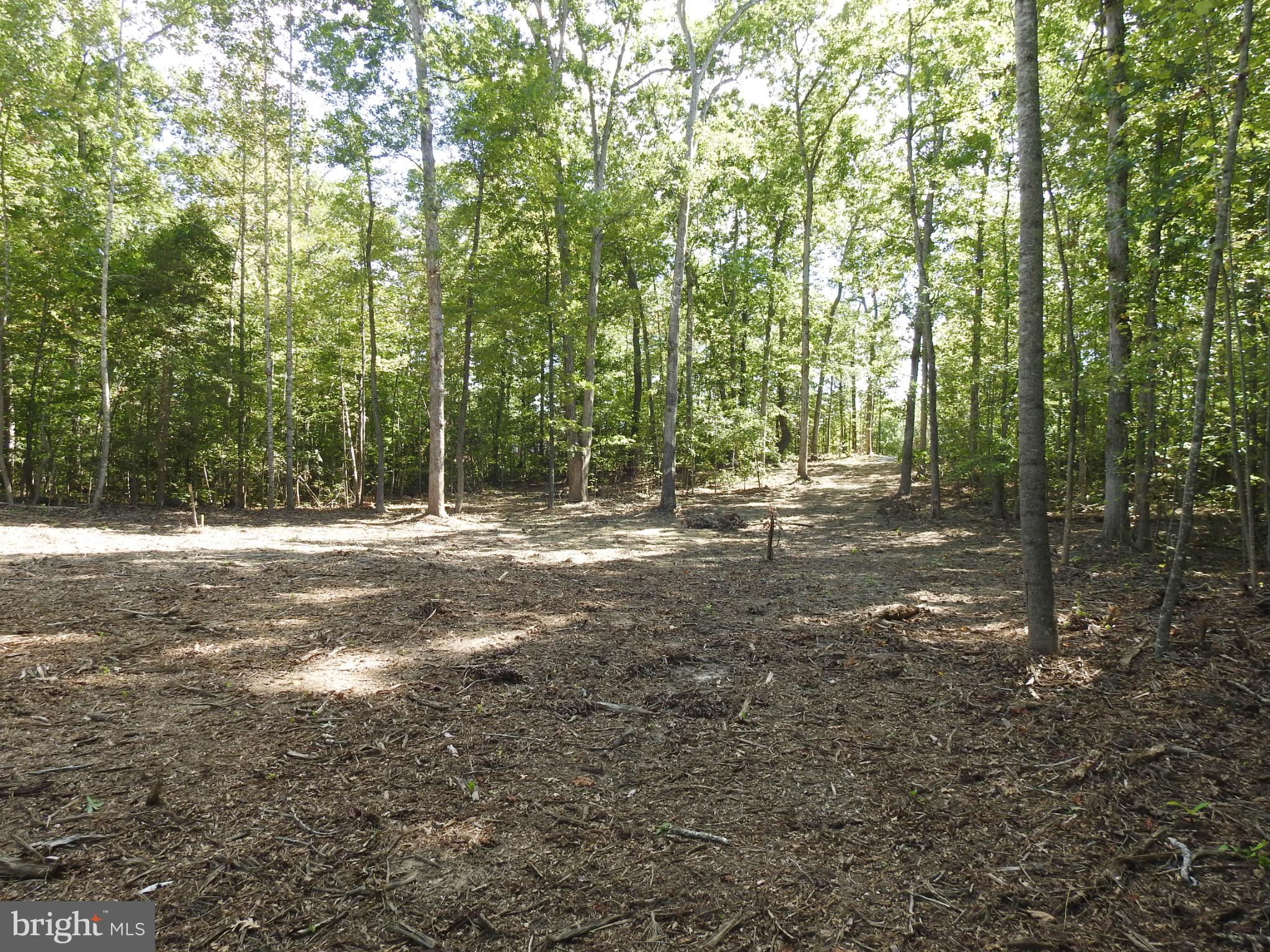 EQUESTRIAN LANDING - Land