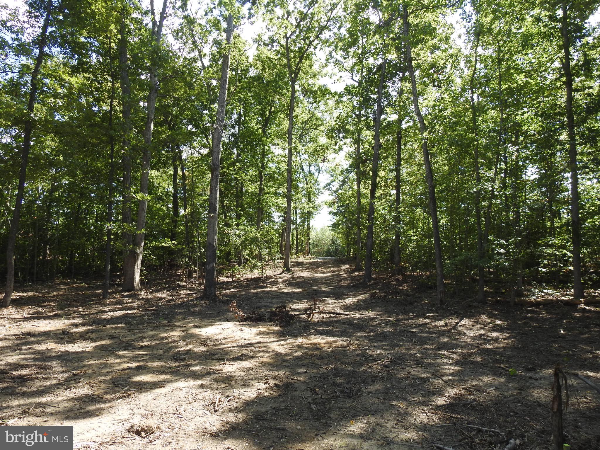 EQUESTRIAN LANDING - Land