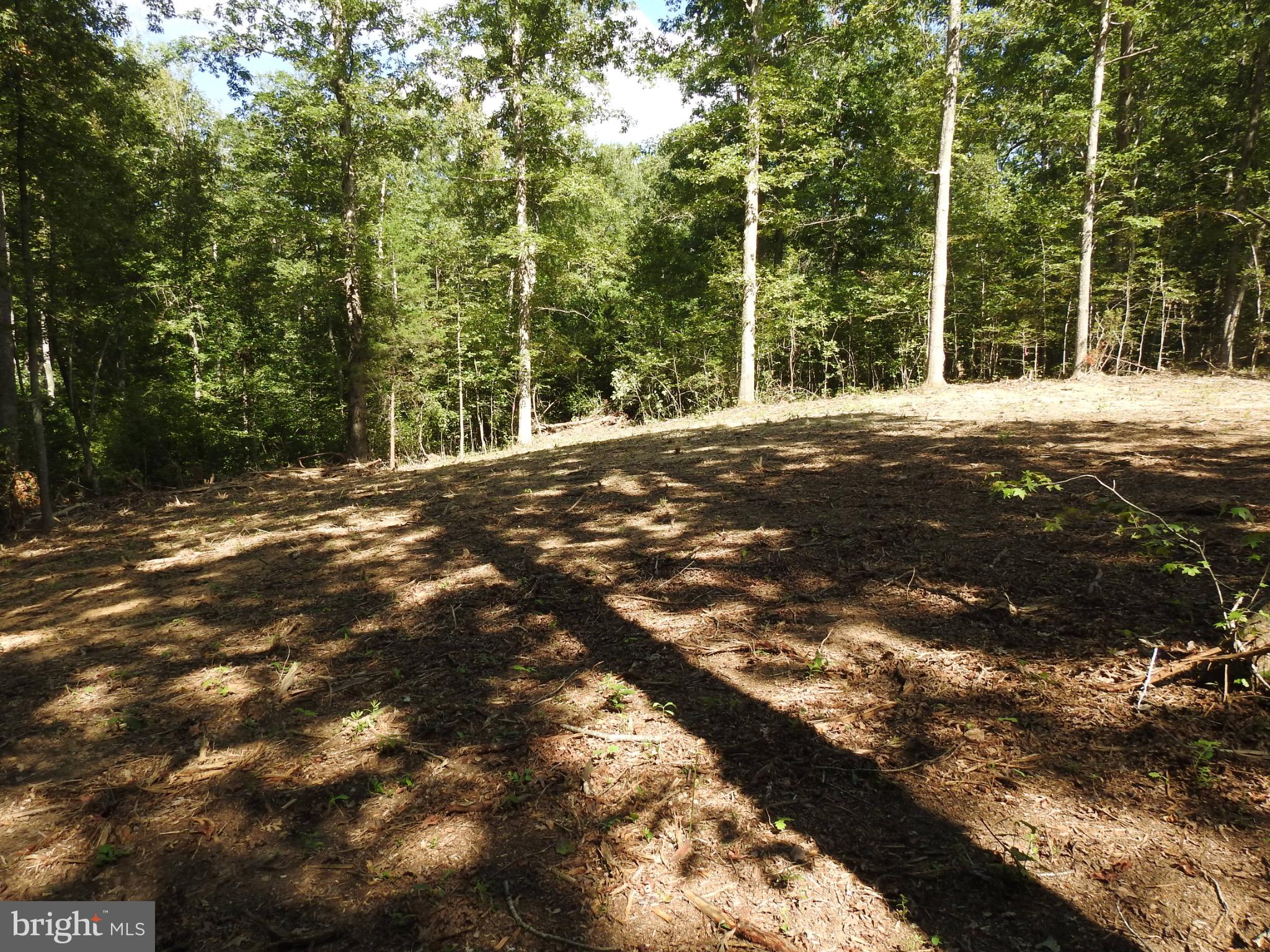 EQUESTRIAN LANDING - Land