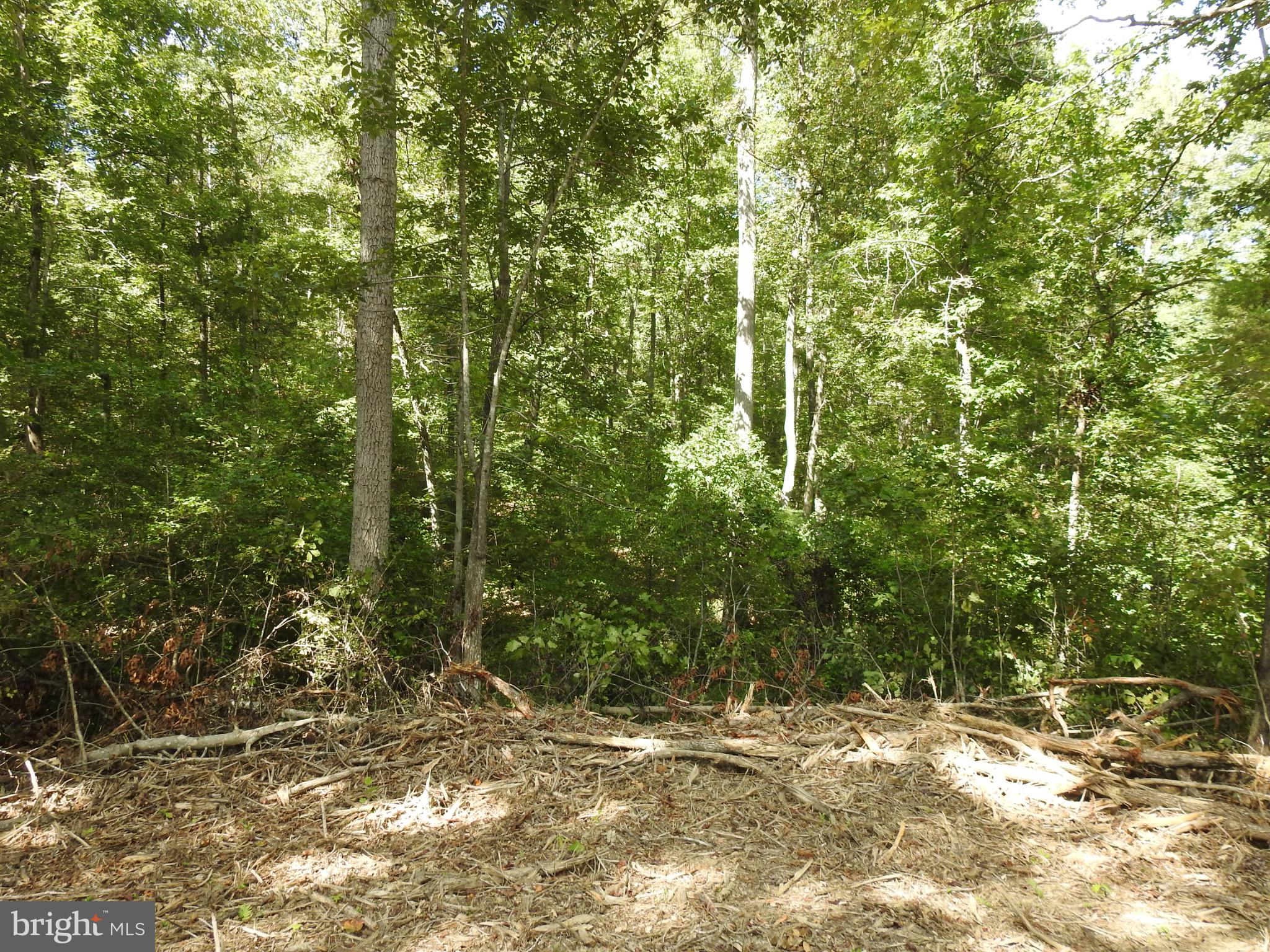 EQUESTRIAN LANDING - Land