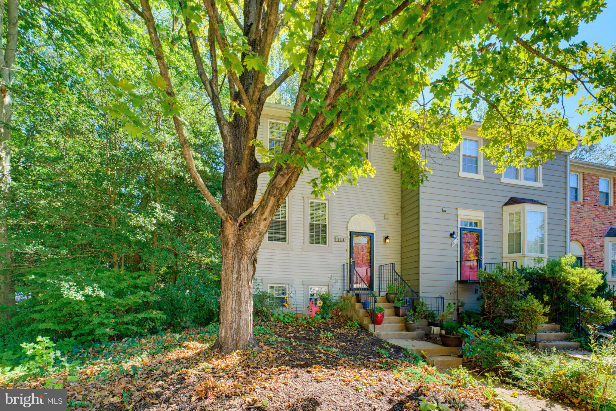 10116 CHESTNUT WOOD LANE