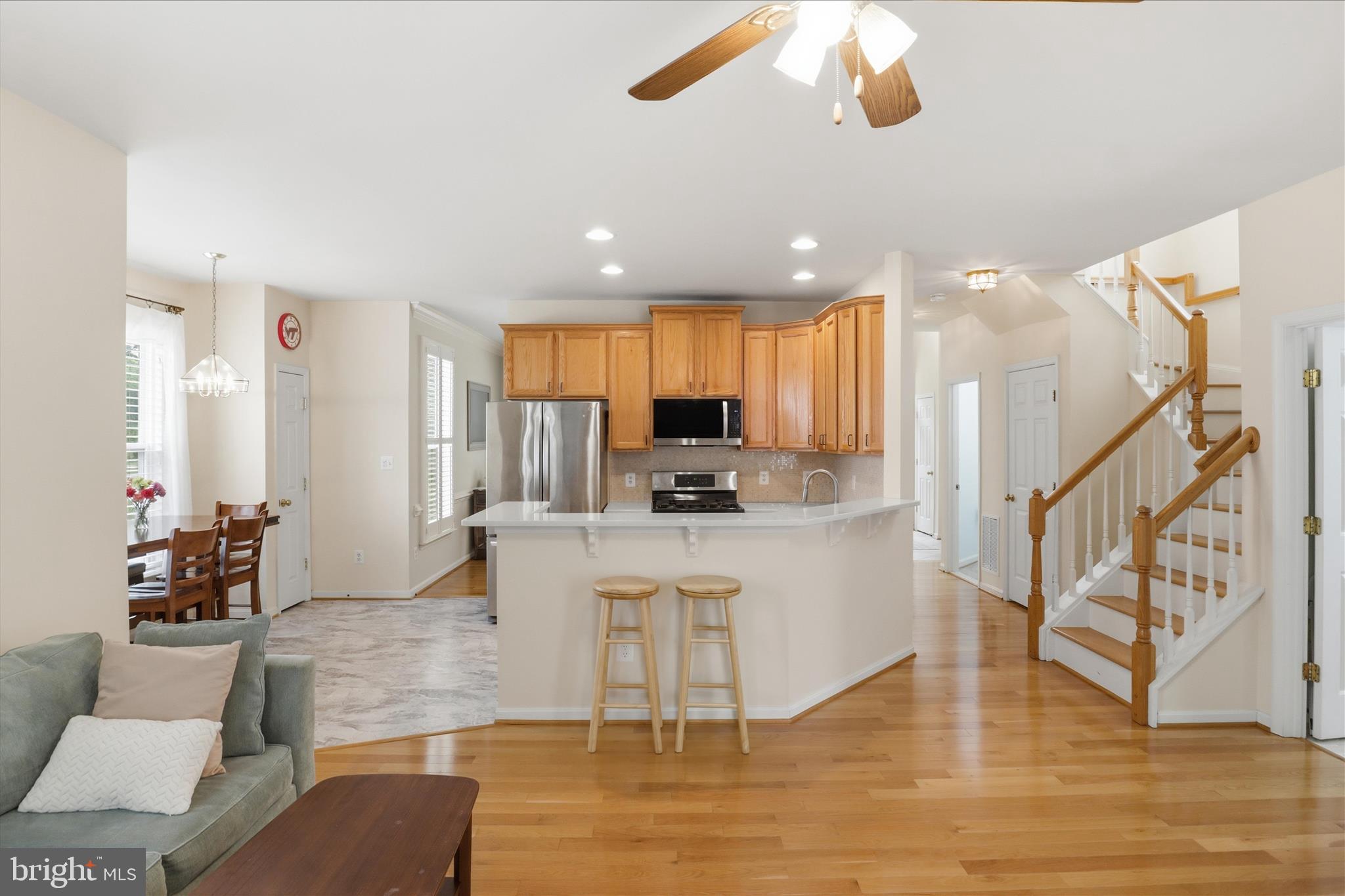 25352 RIPLEYS FIELD DRIVE