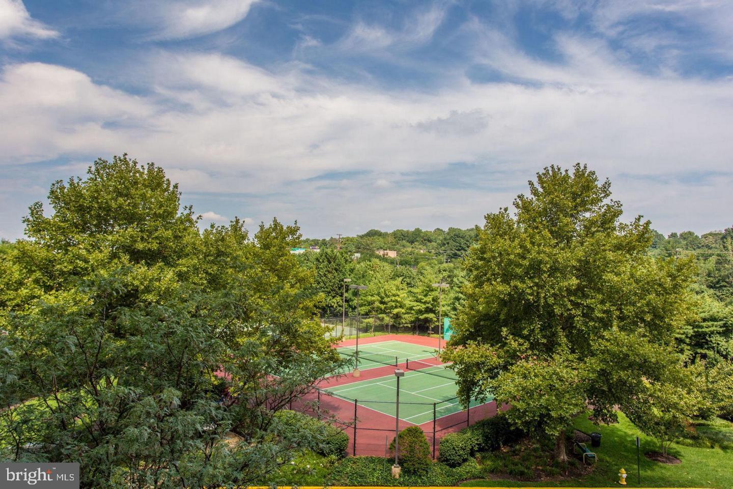 CARLYLE TOWERS - Residential Lease