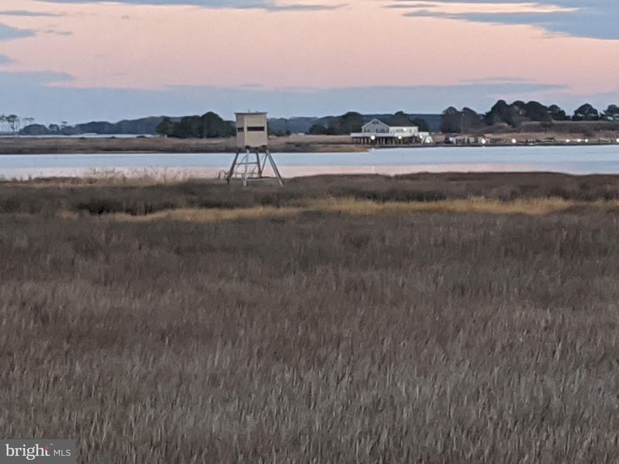 READY TO HUNT SIKA PROPERTY!!! This 25 acres of marsh with a few pines is ready to go with two handmade elevated box blinds with feeders on platforms. The box blinds have been custom crafted and are cemented into the ground for stability and security. This property is located off of Goose Creek Road, and runs out to Fishing Bay, where you will find it contains an offshore blind site for waterfowl hunting. Access to the property can be found off of Goose Creek Road, or by boat if you like. The entire property is marsh, but you'll find numerous trails and sign from sika deer use. Property is boardered by and across the street from other managed sika deer hunting farms. This is a great chance to get some acerage that won't break the bank.  Schedule you private tour today!