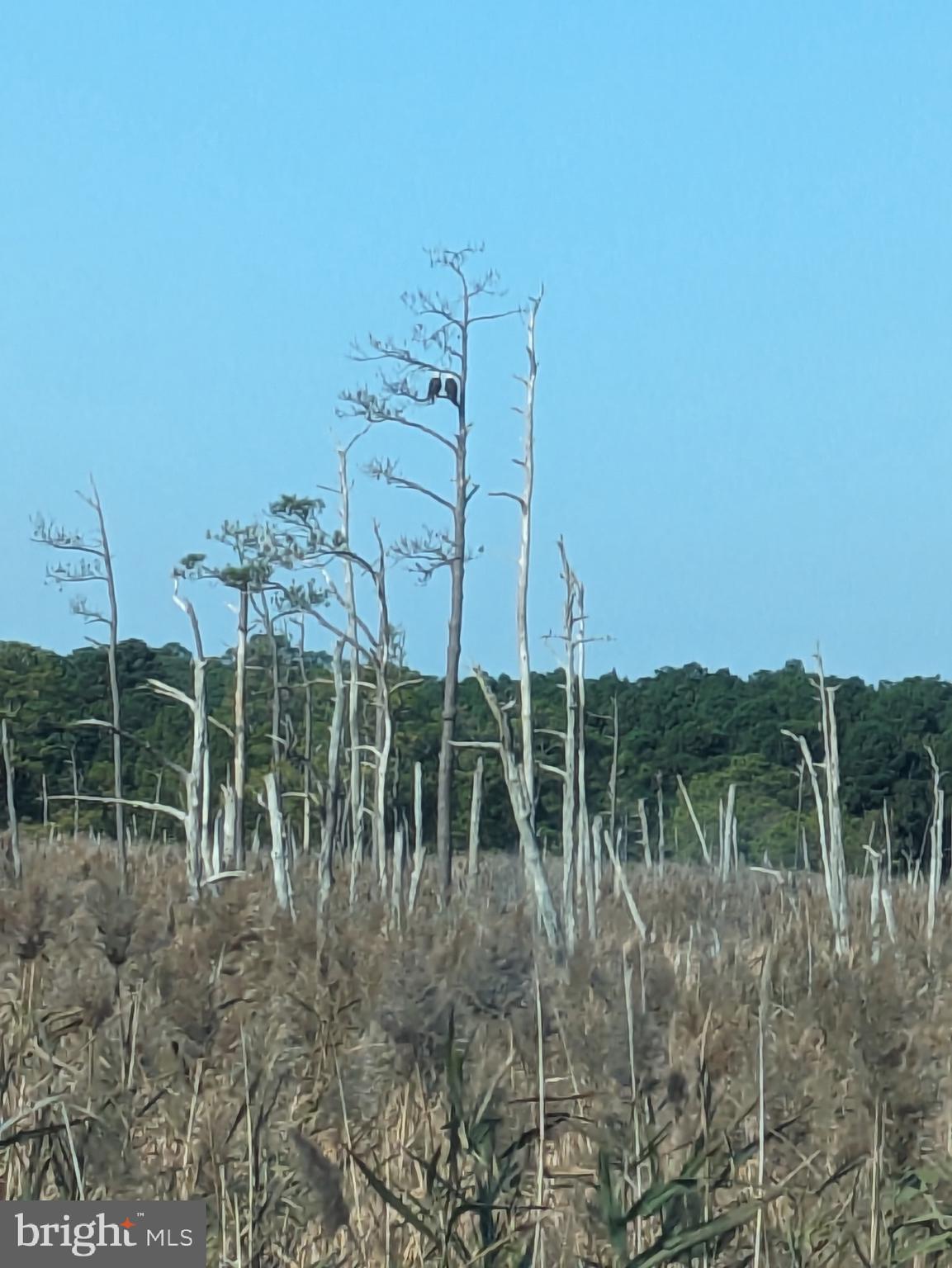 0 GOOSE CREEK ROAD