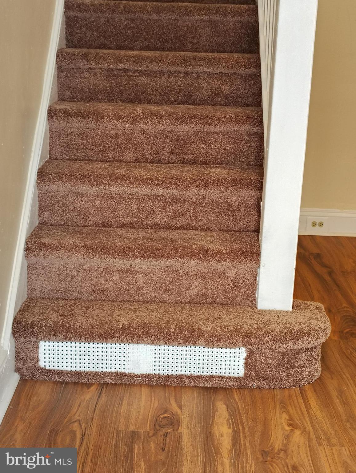 ELMWOOD PARK - Residential