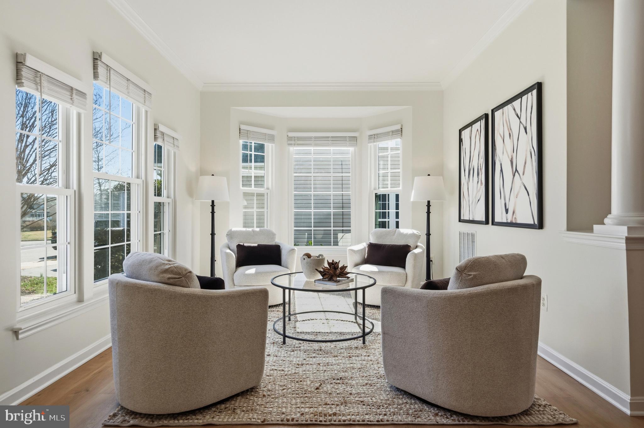 10052 NAUGHTON COURT