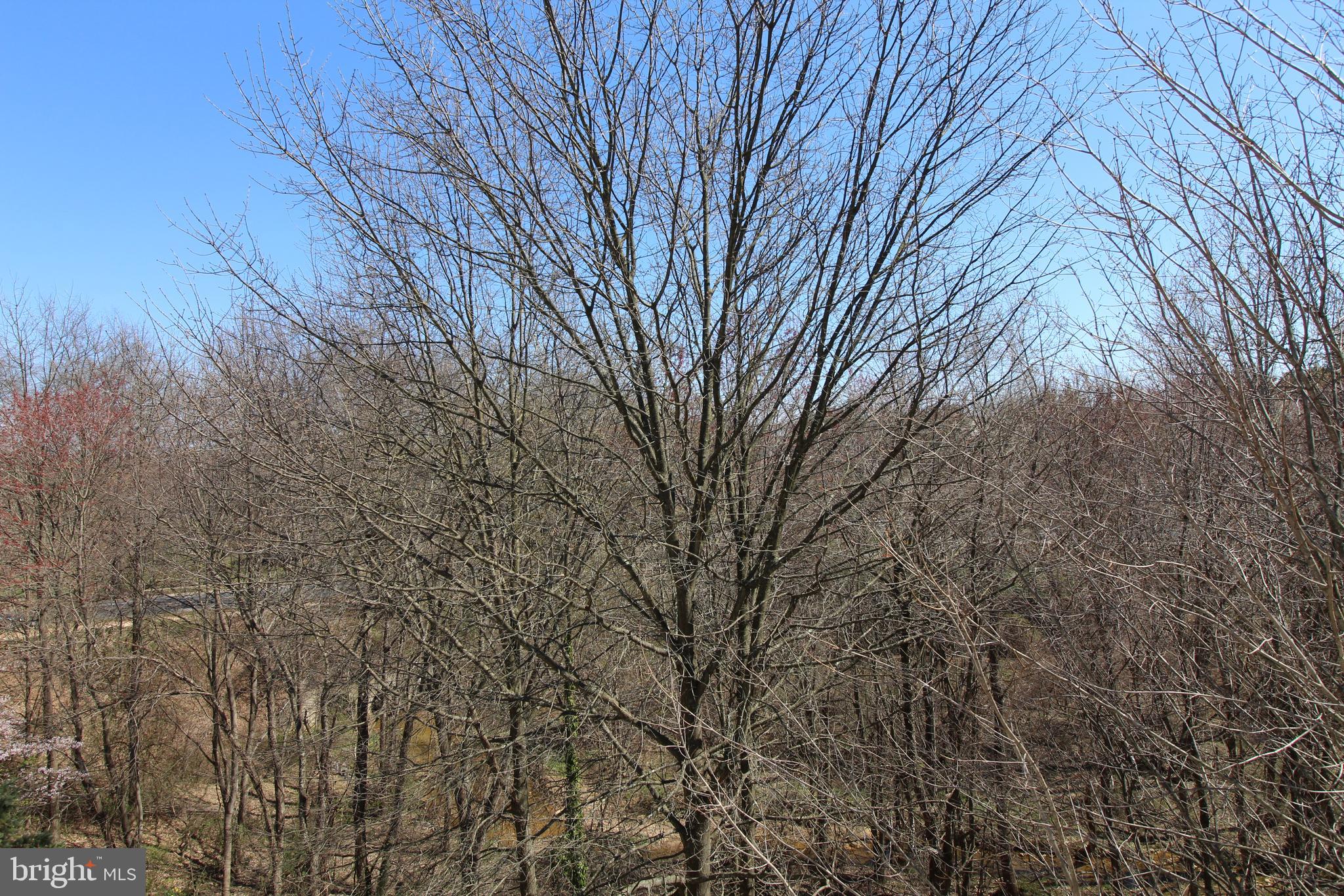 CHURCHILL VIEW - Residential