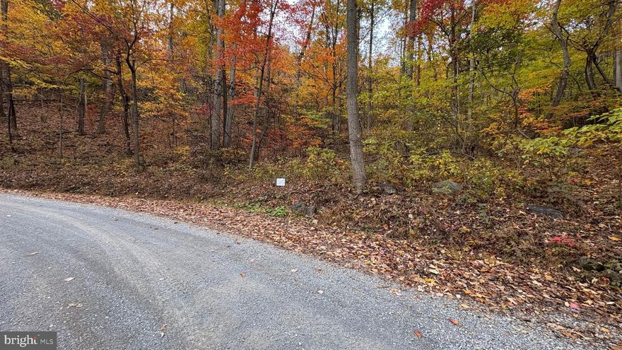 Welcome to Shawneeland, Lot 132  .76 acres, potential building lot. for Full or Part time or just recreational use. This Mountain community has gorgeous views coming & going. Enjoy the amenities, Lake Cherokee, sandy beach area, boat (no gas) canoe, kayak, fishing. Main Recreational park area, picnic pavilion, playground area, 2 fishing ponds, golf pads, baseball diamond, stream & lots of space, another smaller, recreational park & playground area near Aspen Trail, as well as Swan Lake on Tecumseh Trail. Roads Maintained/Snow plowed. Sanitary District Fee $195 annually is included in Real Estate Tax Bill. Rural and secluded, yet still close to Schools, Shopping, Hospital, Rt 50, Rt 37, I81.  Adjoining Lot 133 also for sale VAFV2037698  Sign with lot numbers on property