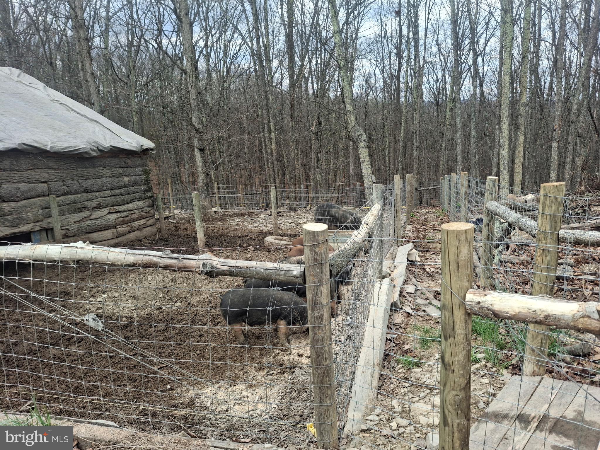 HAMPSHIRE COUNTY - Residential