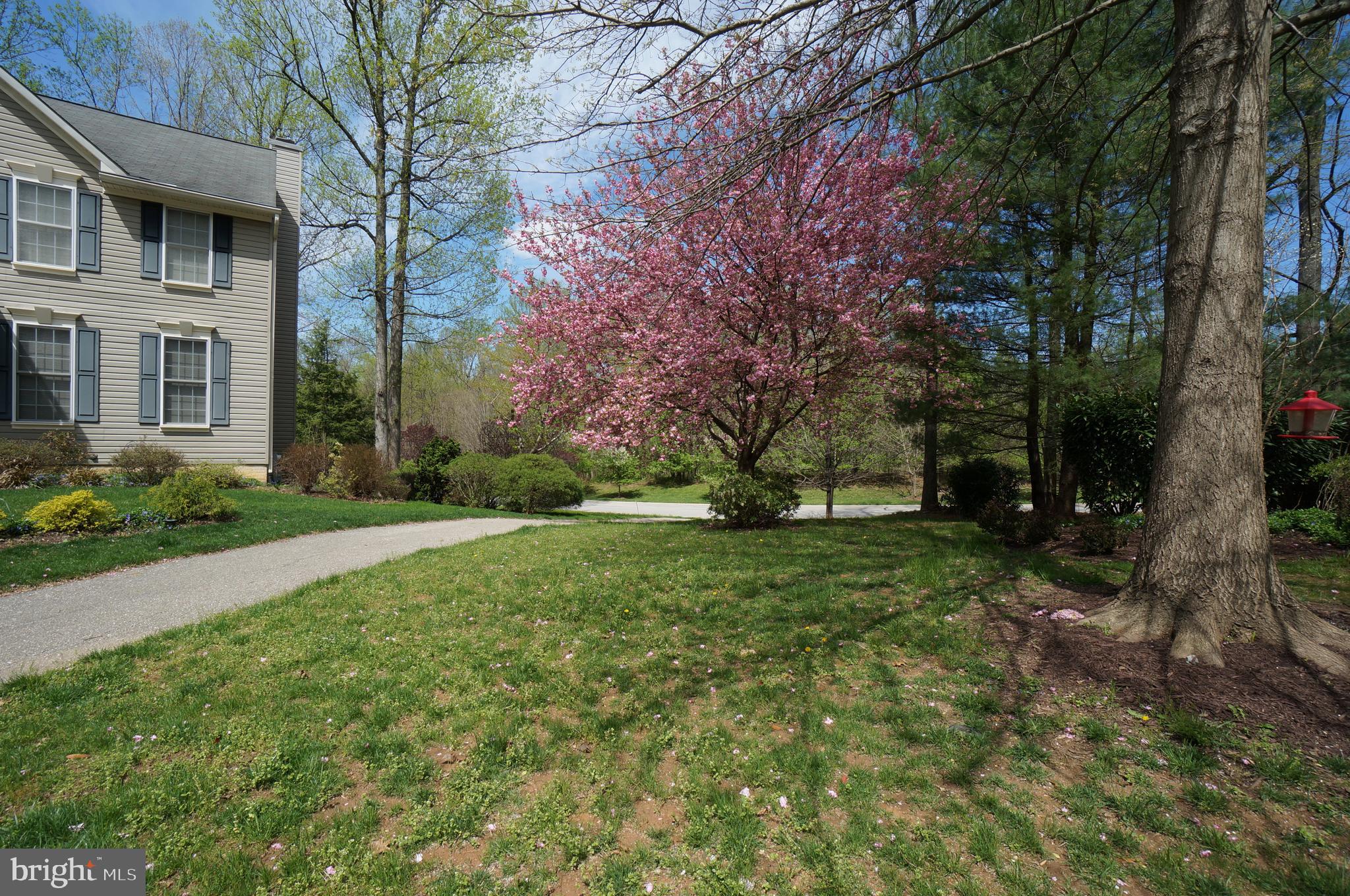 TRAILS AT WOODLOT - Residential