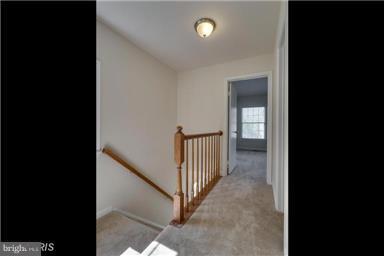 PARADISE - Residential