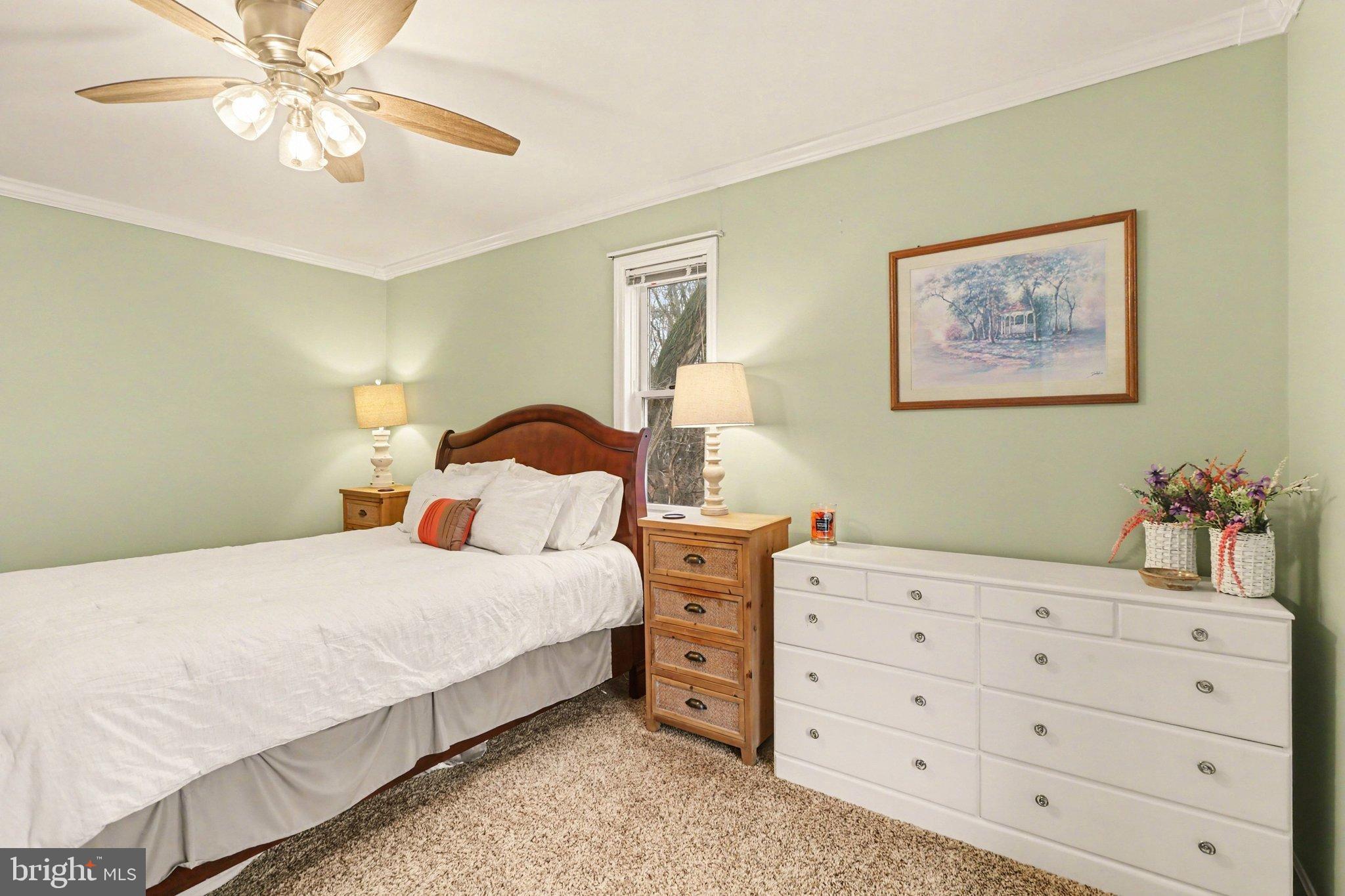 HAYDON COURT - Residential