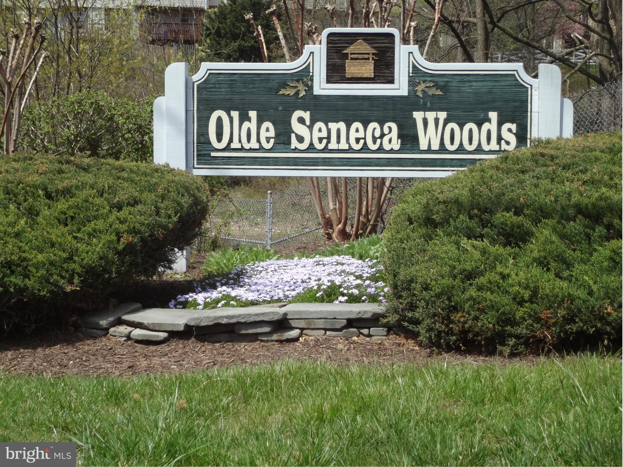 THE COLONY - Residential