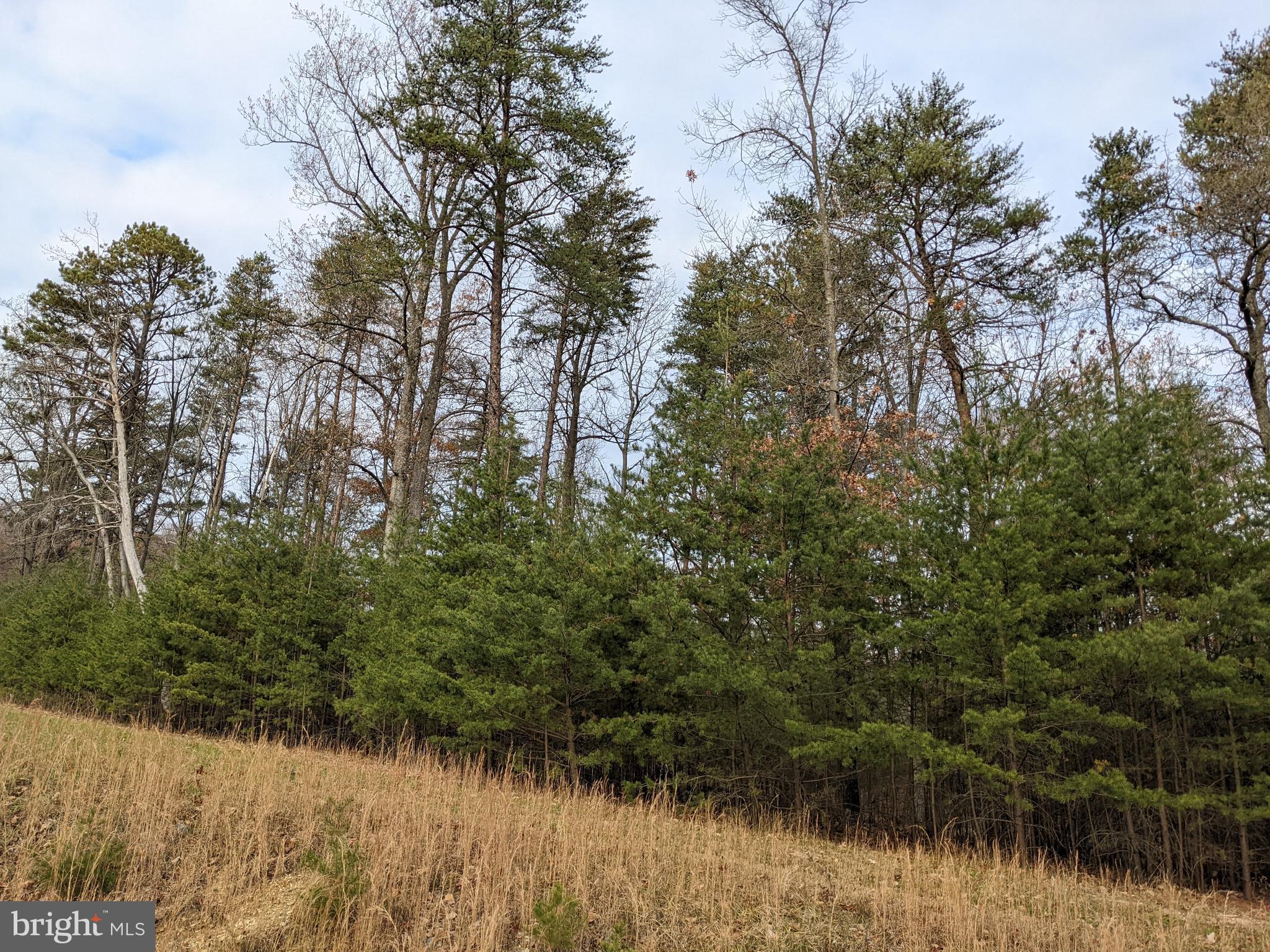 LAKE FOREST ESTATES - Land