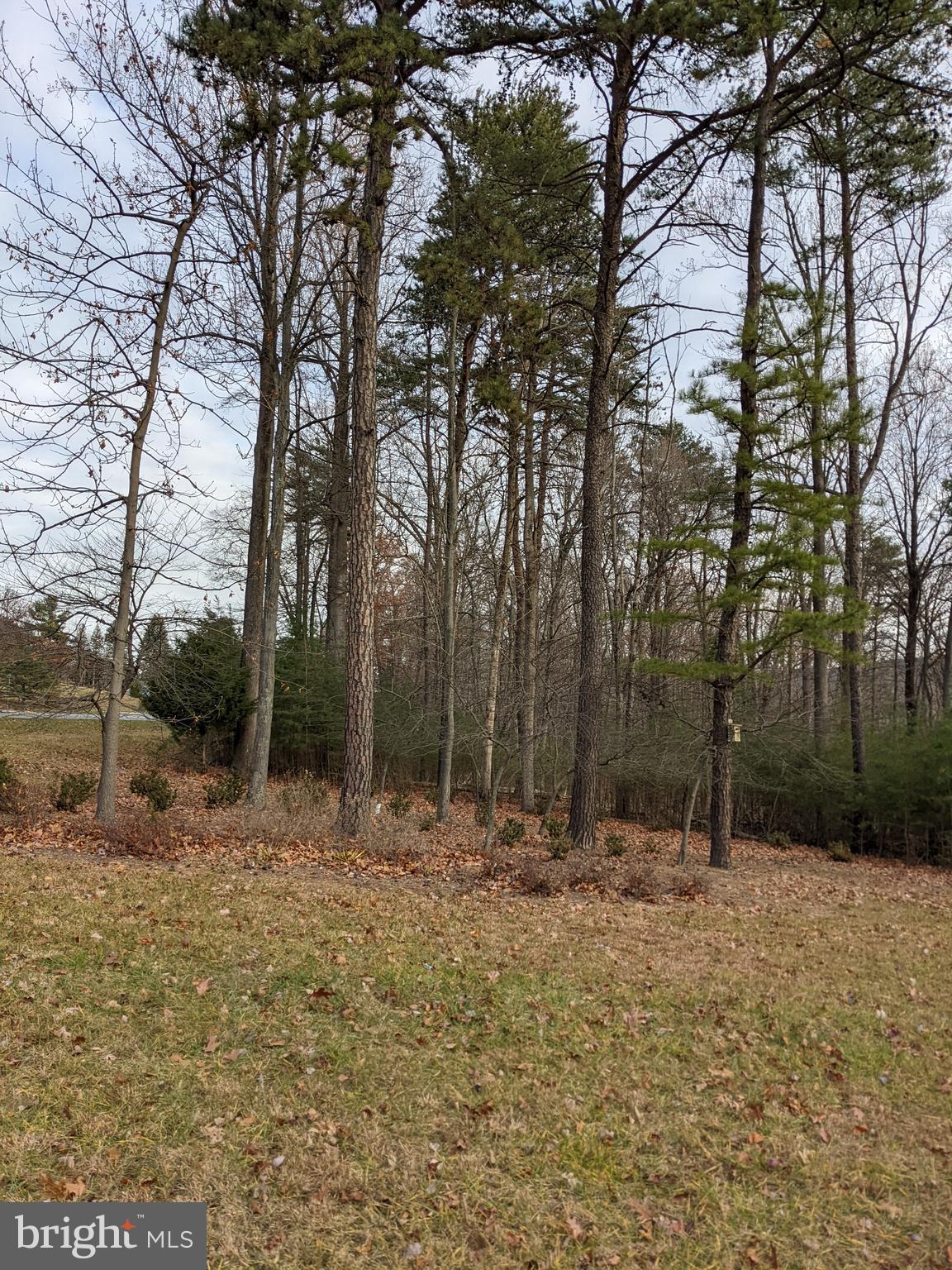 LAKE FOREST ESTATES - Land