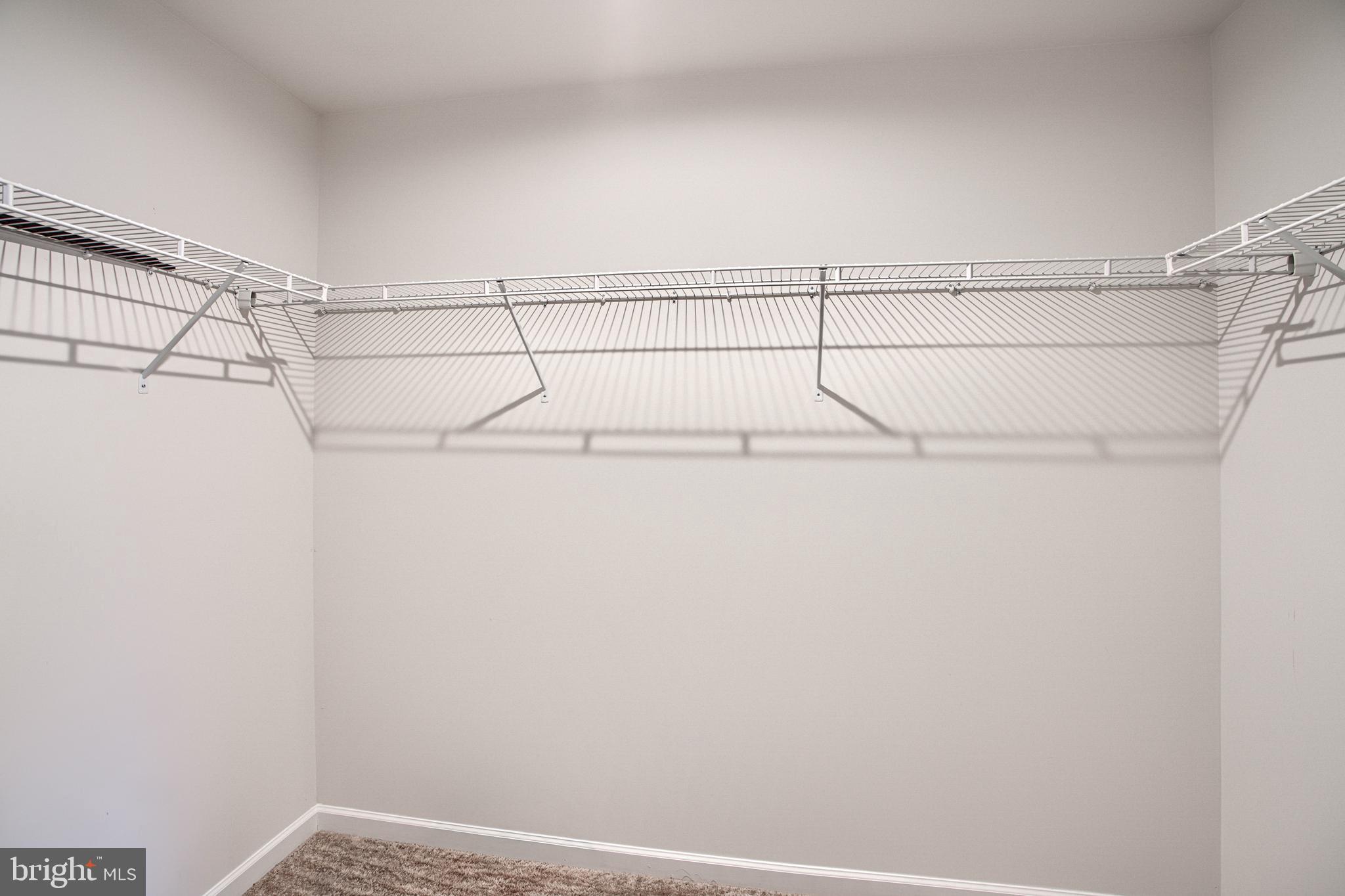 RIDGELY FOREST - Residential