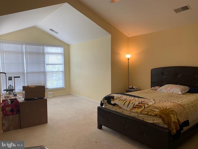 VILLAGES AT HAYMARKET - Residential