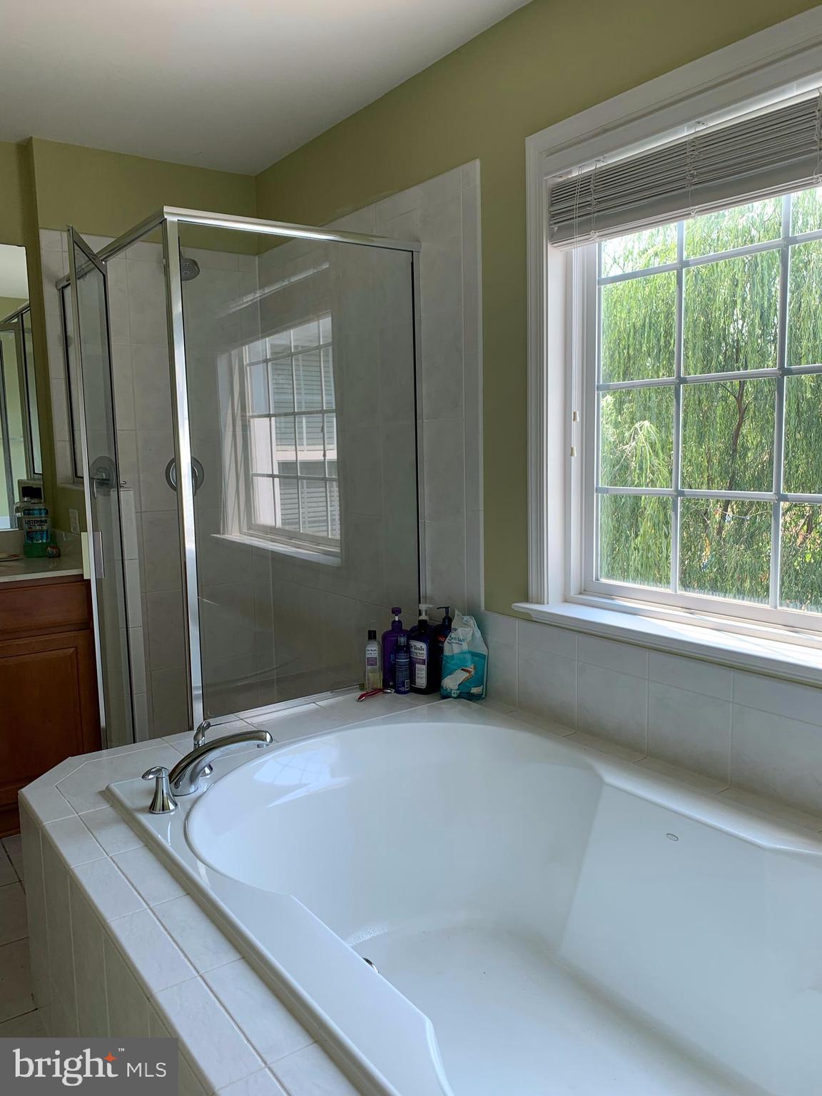 VILLAGES AT HAYMARKET - Residential