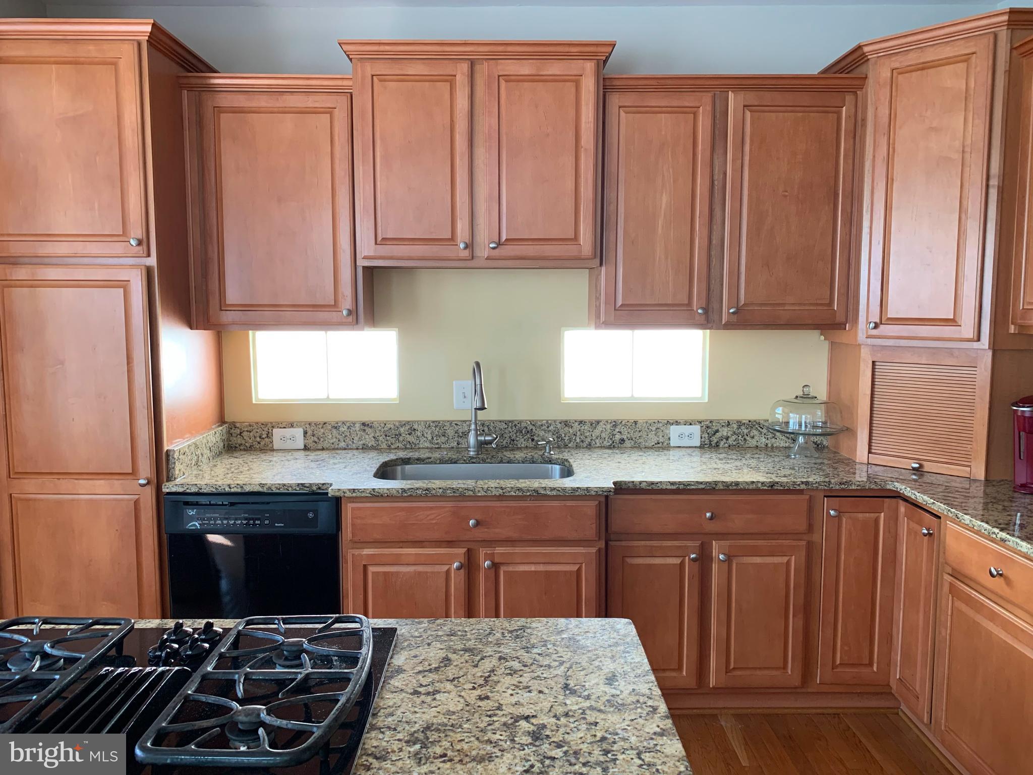 VILLAGES AT HAYMARKET - Residential