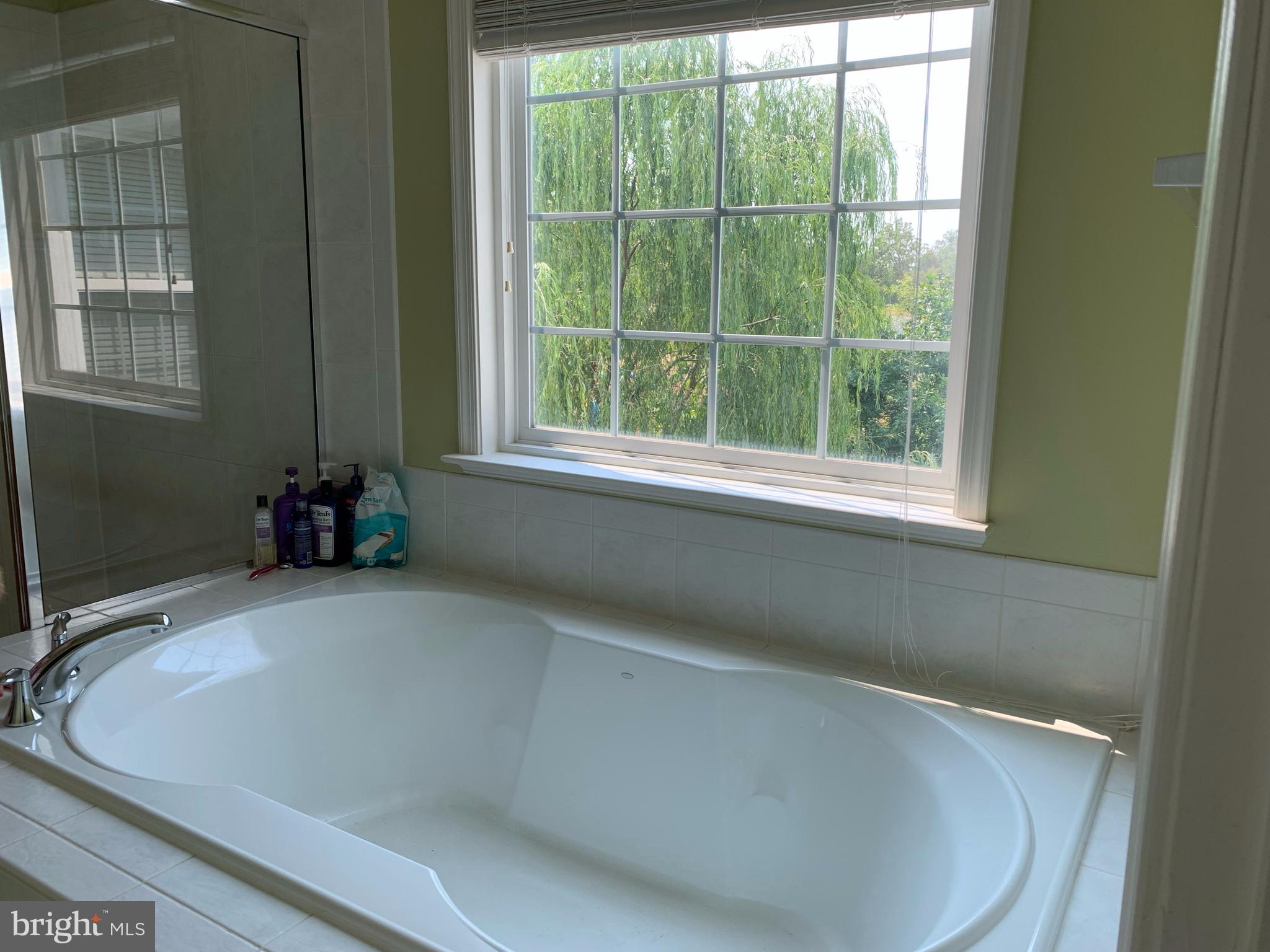 VILLAGES AT HAYMARKET - Residential