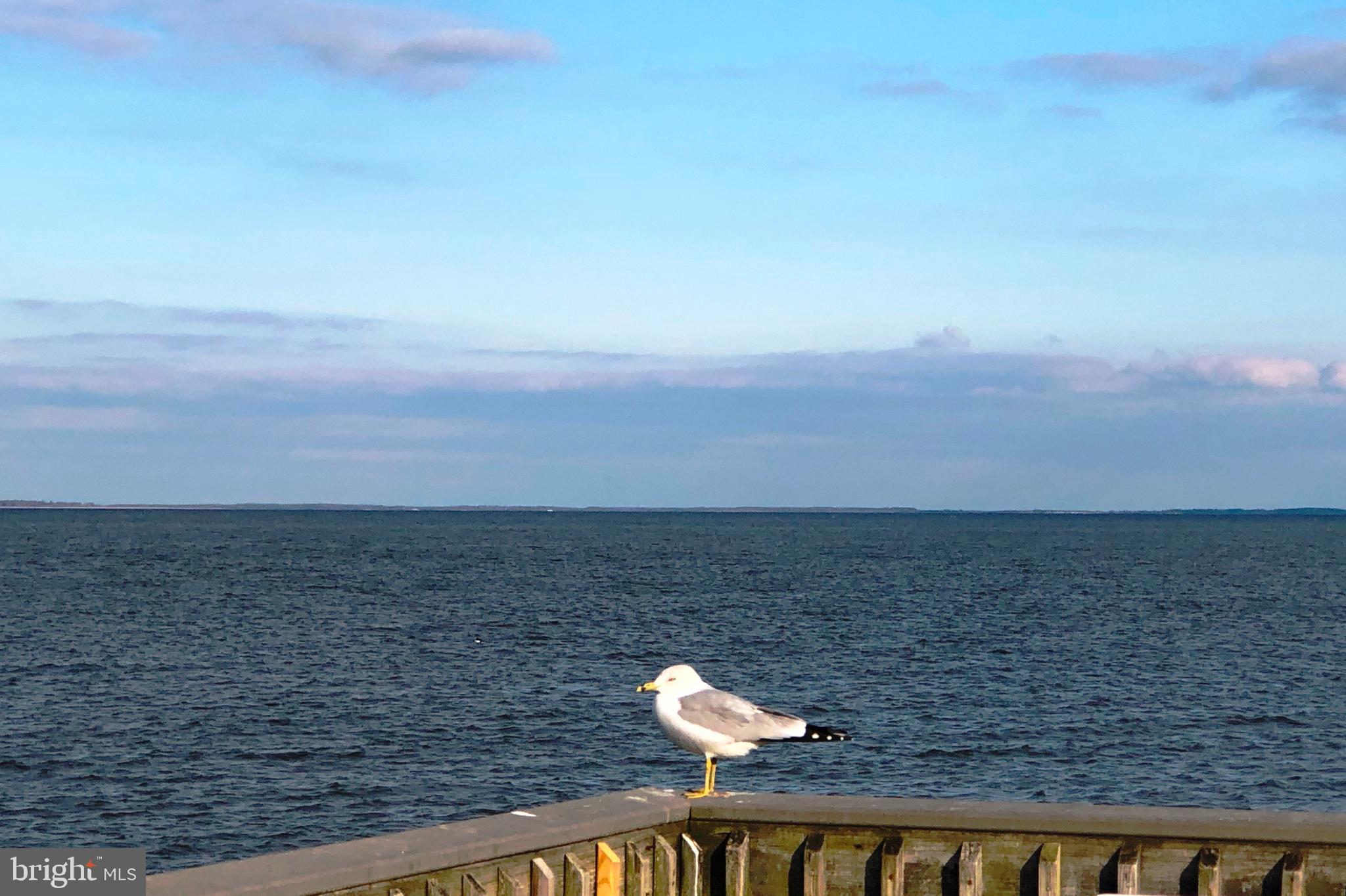 NORTH BEACH PARK - Residential