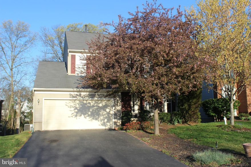 **Price Improved** Wonderful Opportunity to Own 4BR/3.5BA/2 Car Attached Garage in South Riding for Under $500k!!  Large Deck & Patio Backing to Woods! Great Lot! Level Walkout Basement with Full Bath.  Separate Laundry Room with Washer/Dryer.  4 Bedrooms/2.5 Baths Upper Level. Located on Private Drive. Freedom High School Pyramid (Lunsford Middle & Little River ES).