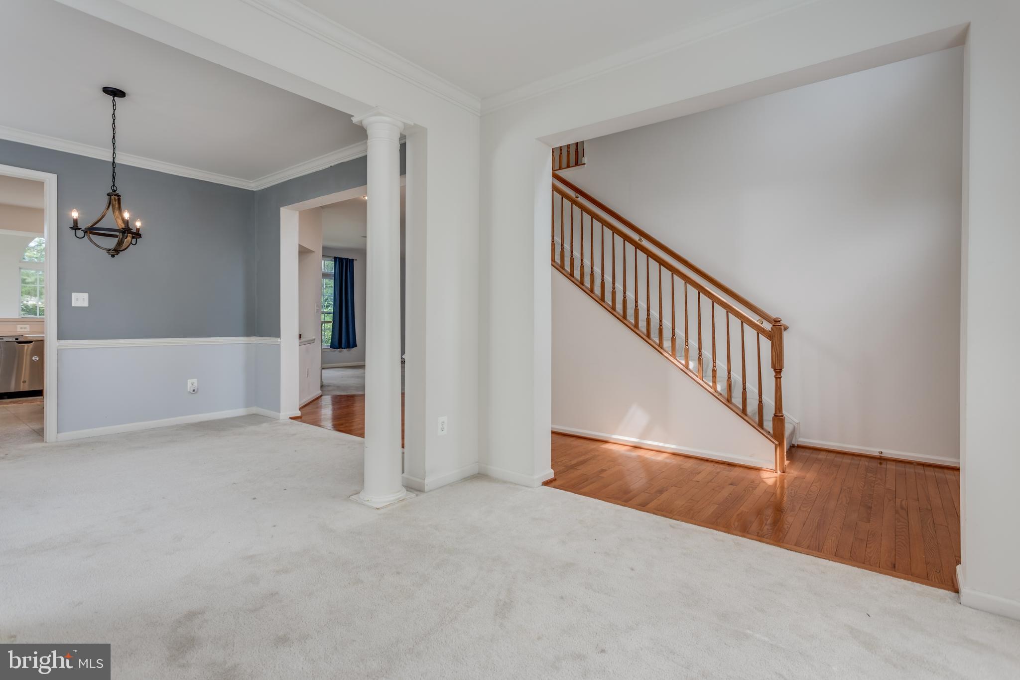 THE VILLAGE OF WASHINGTON TRAIL - Residential