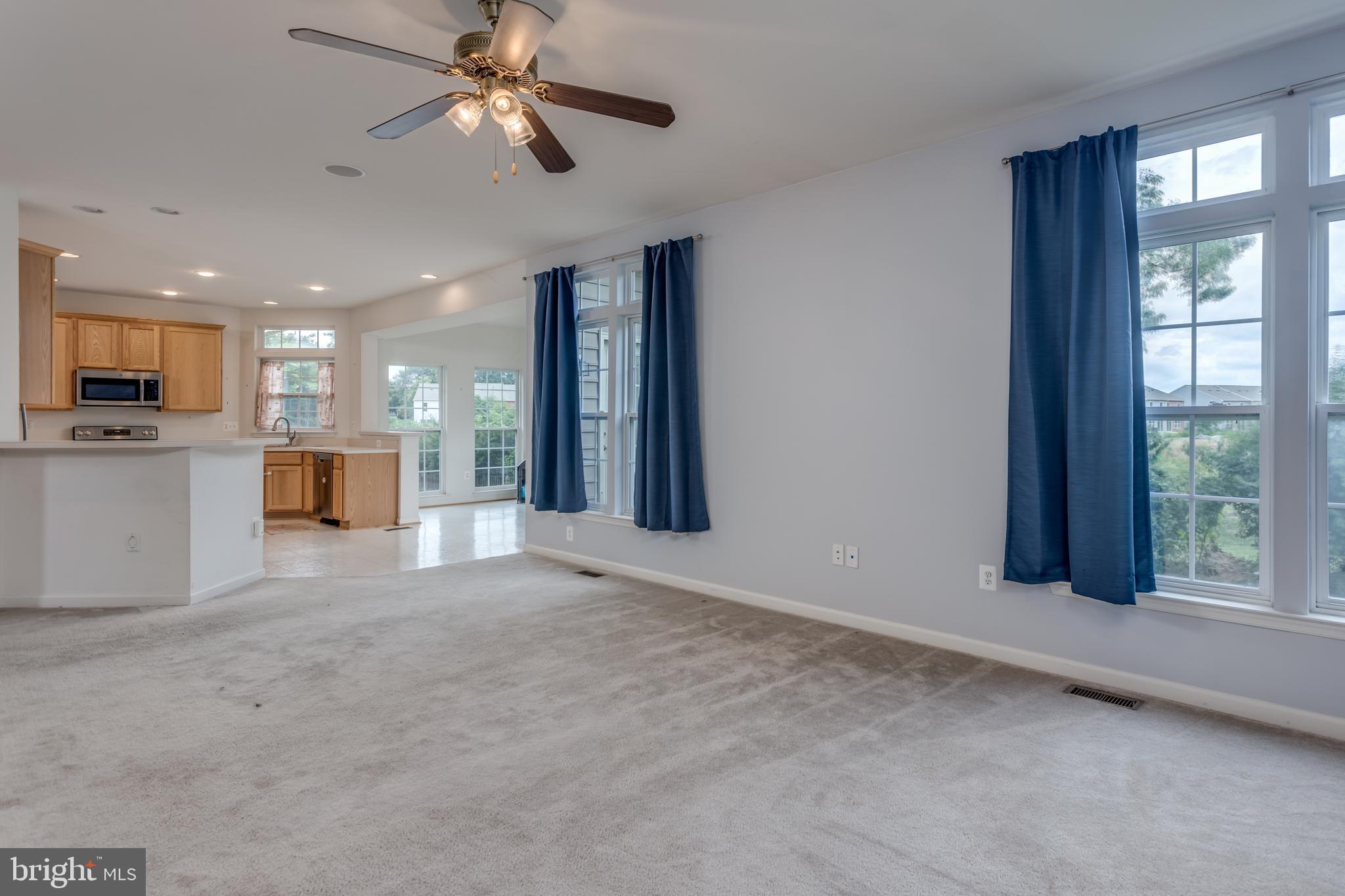 THE VILLAGE OF WASHINGTON TRAIL - Residential