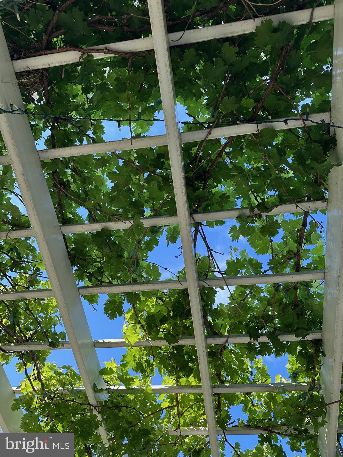 ST HELEN'S CROSSING - Residential