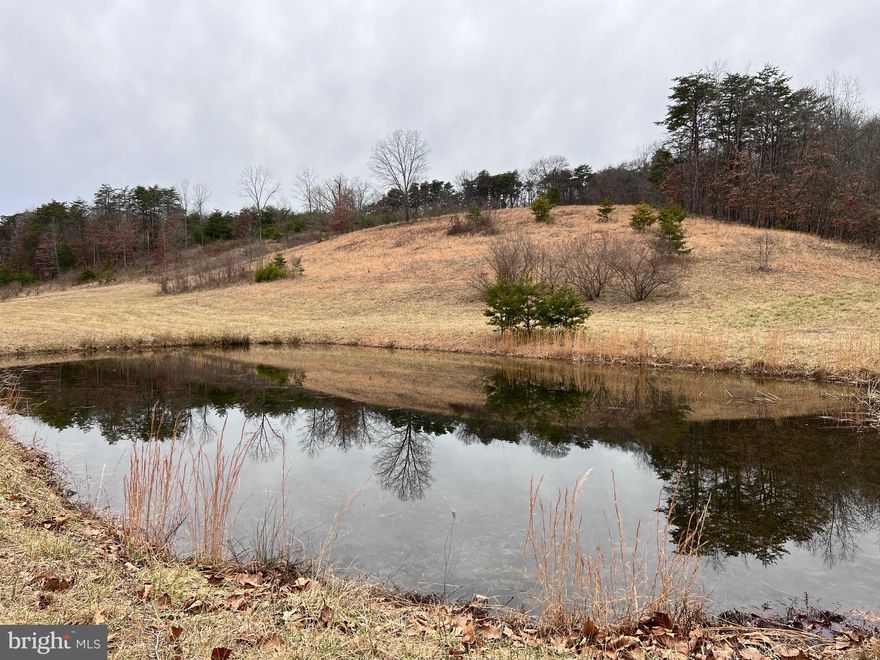 10.658 Acres with Pond!   This acreage sits high with a nice view.   Mostly cleared land would be a great location for your new home!   The driveway has already been roughed in.  Perc test approved.  Few restrictions: no commercial, no mobile homes, size of home must be at least 1200, etc.