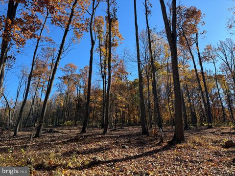 0 DIGGING BEAR LN PURCELLVILLE VA 20132