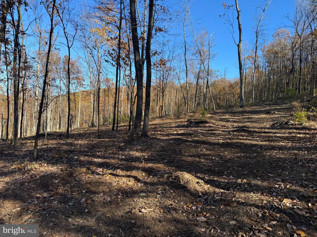 Photo of 0 Digging Bear Ln, PURCELLVILLE, VA 20132 (MLS # VALO2111588)