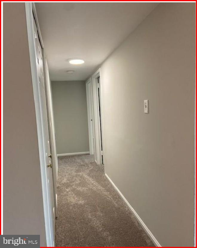 1300 ARMY NAVY DRIVE 223