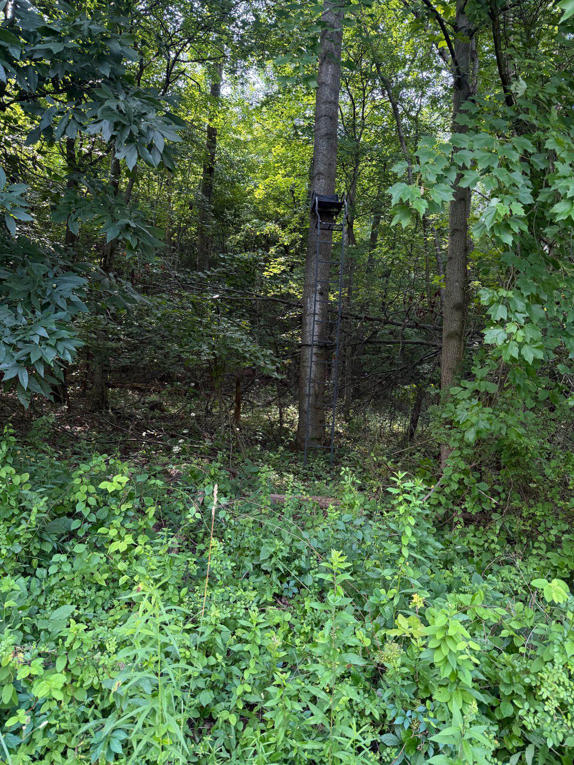 501 TRACEY ROAD