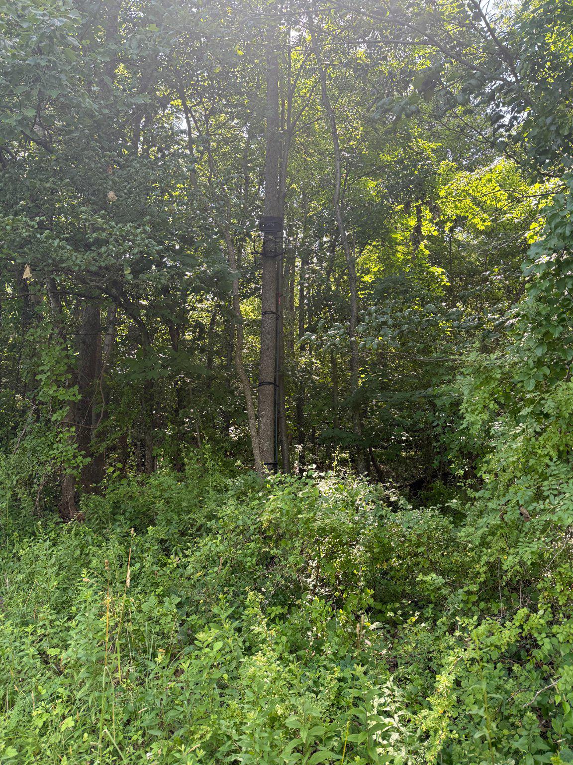501 TRACEY ROAD