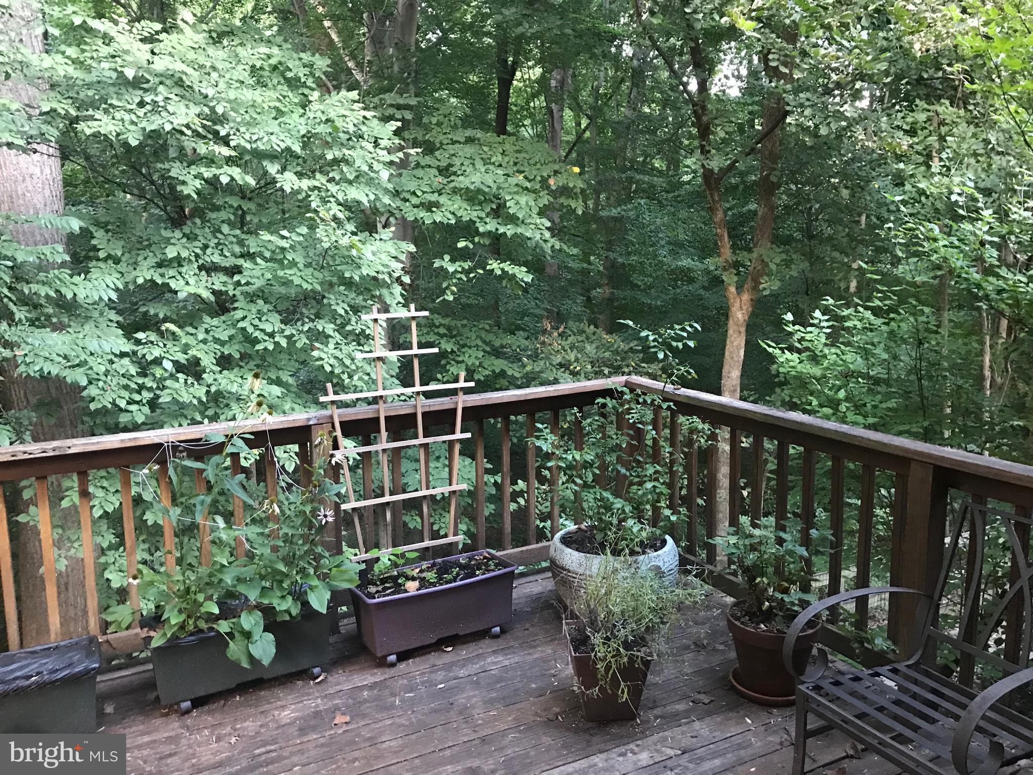 GROSVENOR PARK TOWNHOME CONDOMINIUMS - Residential Lease