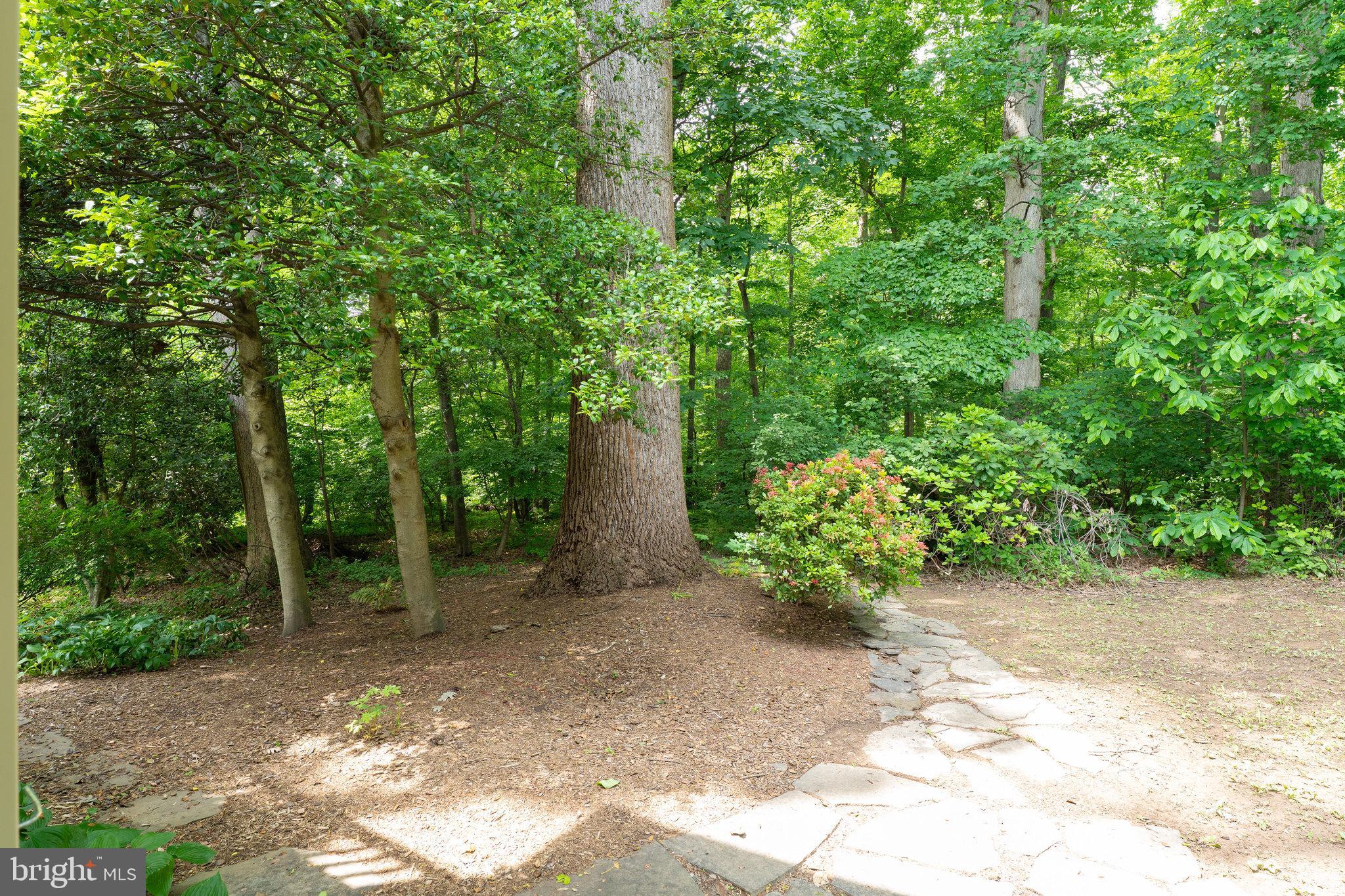 KINGS MANOR - Residential