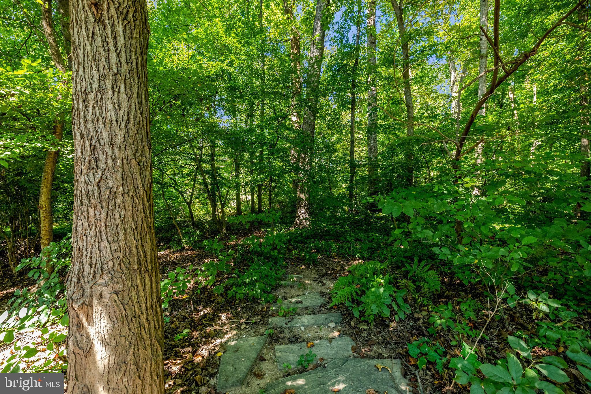 KINGS MANOR - Residential