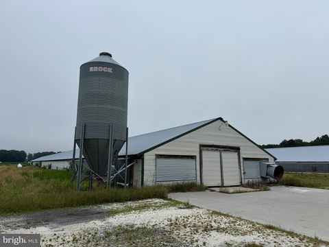 Vacant Land For Sale - 25495 Saxis Road<br/> Accomack County, TEMPERANCEVILLE, VA 23442