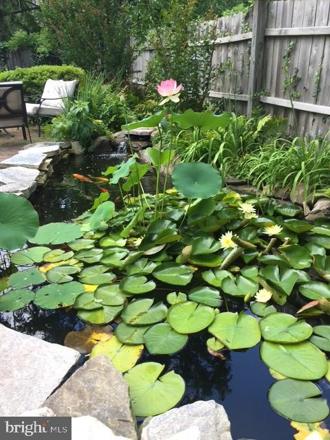 DOYLESTOWN - Residential Income