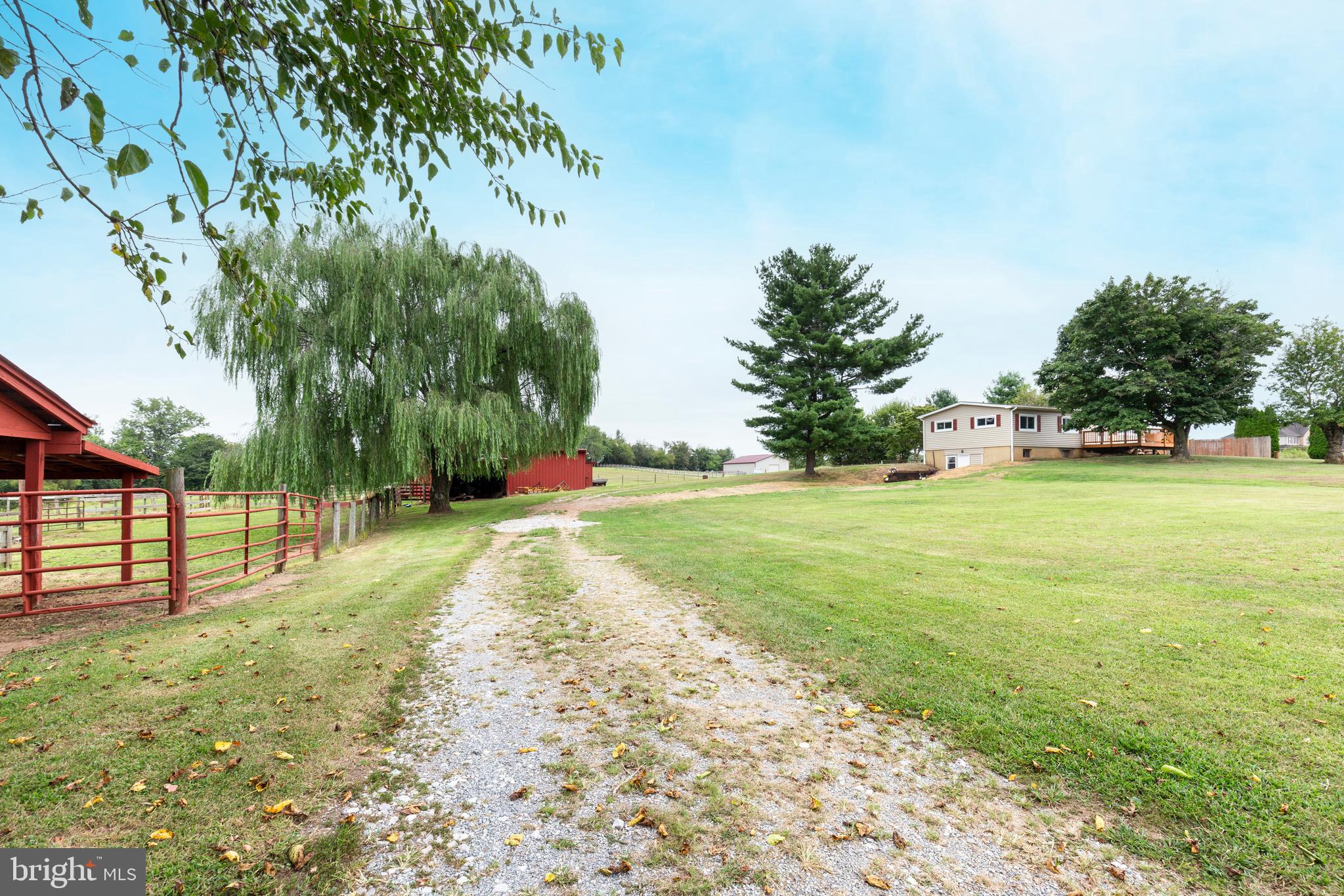 NONE AVAILABLE - Farm