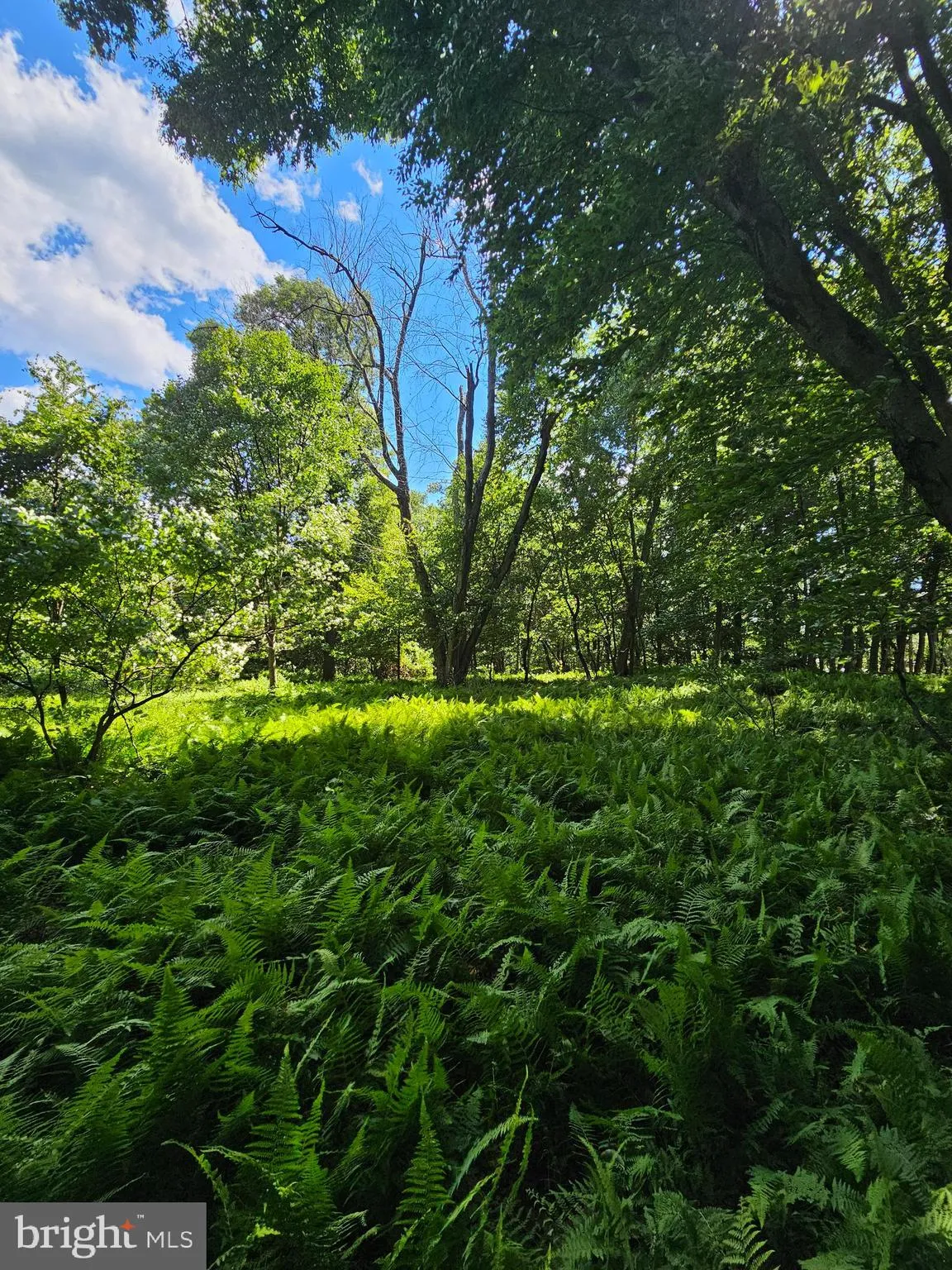 Elizabethtown, Pennsylvania 17022, United States, ,Land,Pending,52189