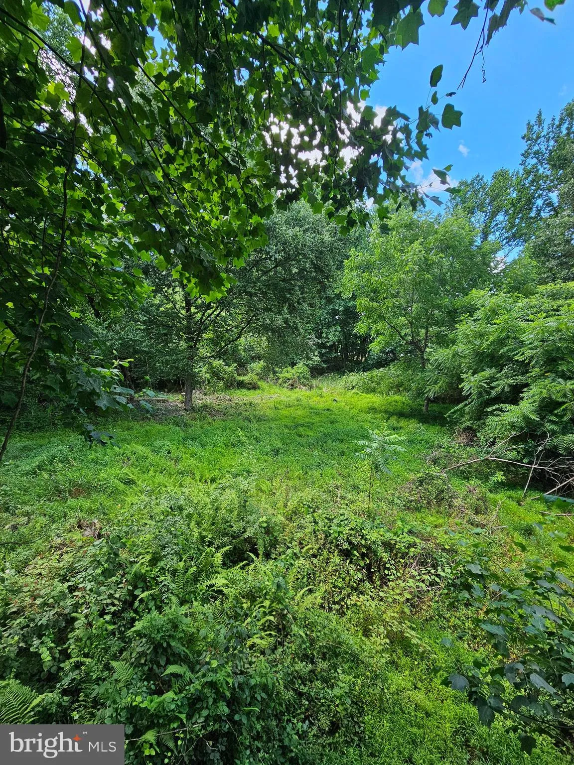 Elizabethtown, Pennsylvania 17022, United States, ,Land,Pending,52189