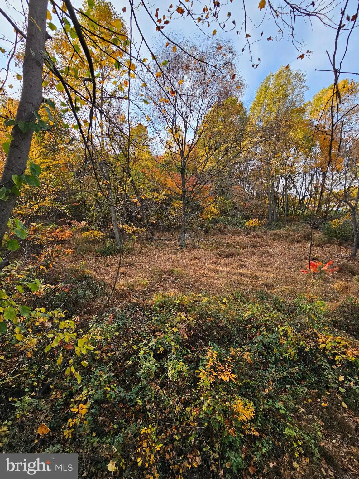 Elizabethtown, Pennsylvania 17022, United States, ,Land,Pending,52189