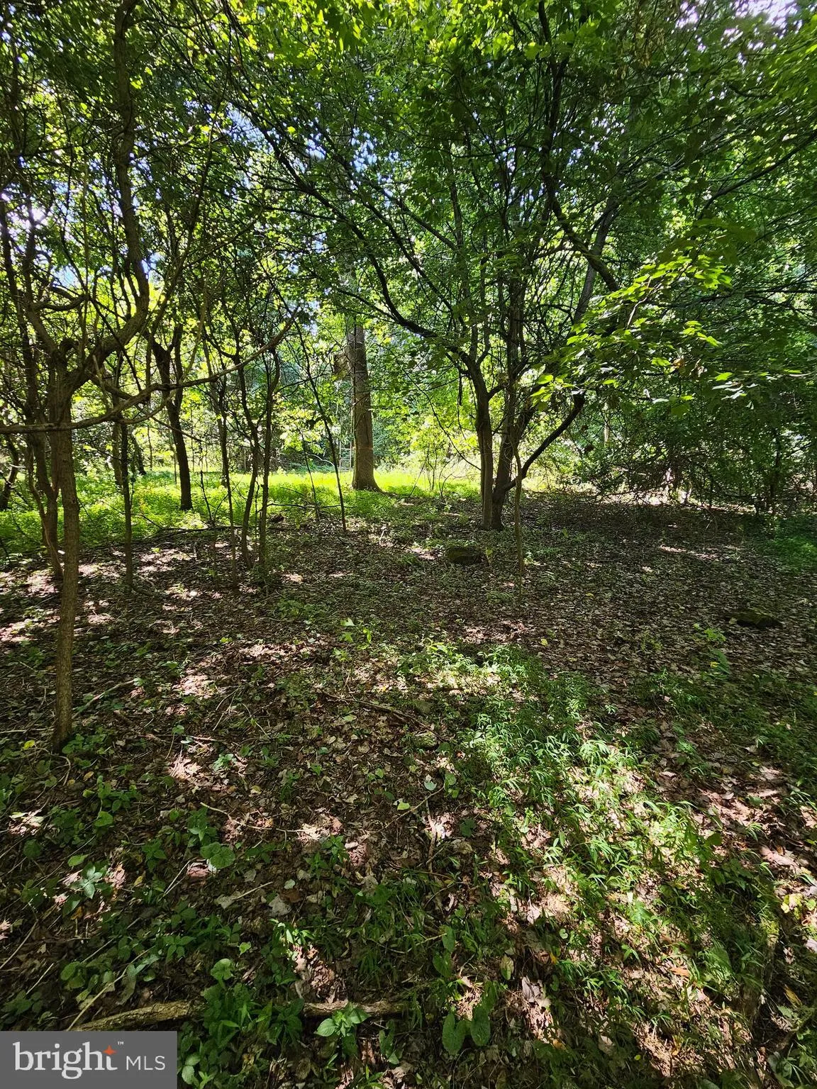 Elizabethtown, Pennsylvania 17022, United States, ,Land,Pending,52189