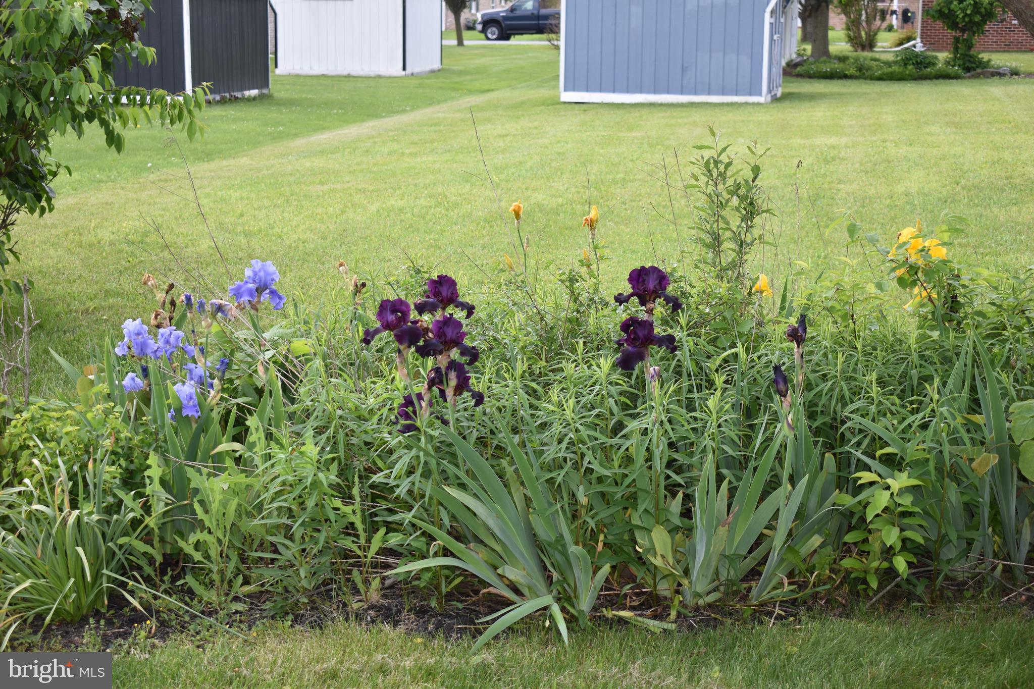 SOUTH POINTE - Residential